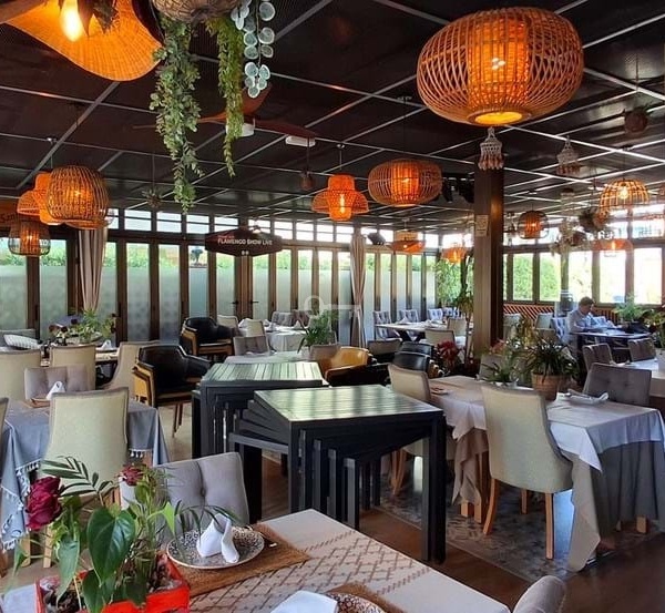 1. Przytulna restauracja z naturalnym wystrojem i zielonymi roślinami.
