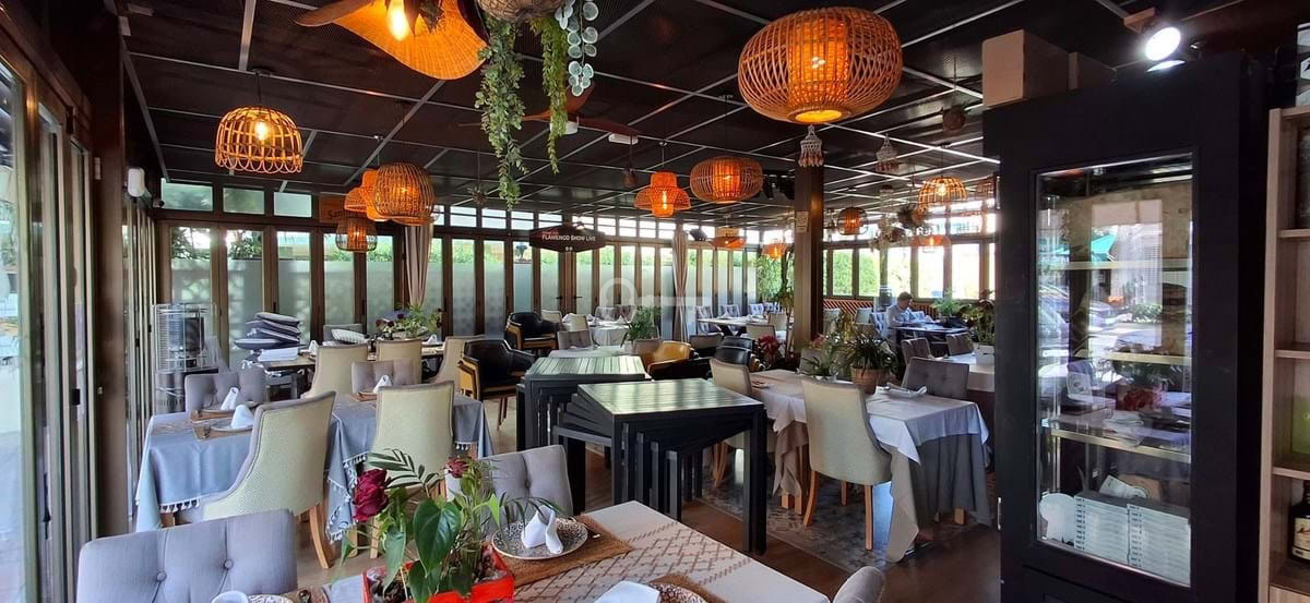 1. Przytulna restauracja z naturalnym wystrojem i zielonymi roślinami.